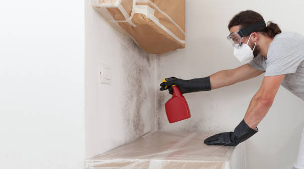 Professional Basement Mold Remediation technician working in Horntown, VA